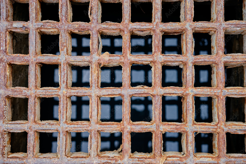 Metallic grille of sewerage. Metallic grille of sewerage.