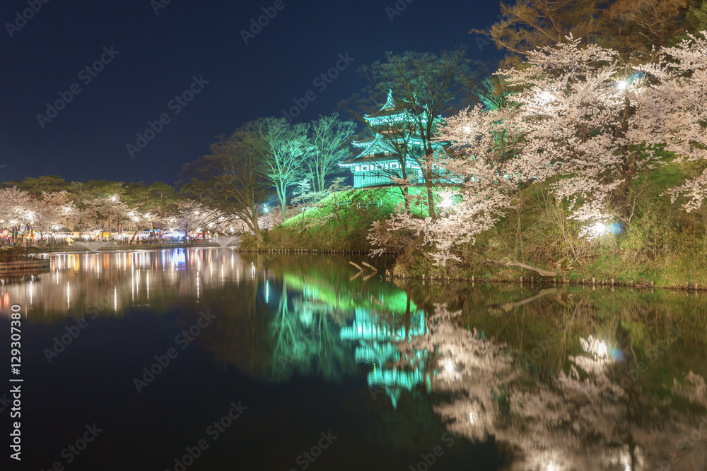 高田公園と桜