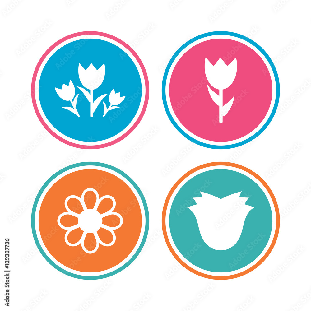 Flowers icons. Bouquet of roses symbol. Flower with petals and leaves. Colored circle buttons. Vector Flowers icons. Bouquet of roses symbol. Flower with petals and leaves. Colored circle buttons. Vector