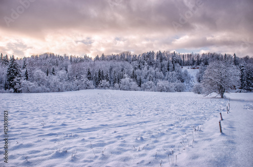 Beautiful winter landscape in park. © Dace