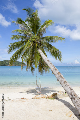 Beautiful tropical beach  palm tree and sea water in island Koh Phangan   Thailand