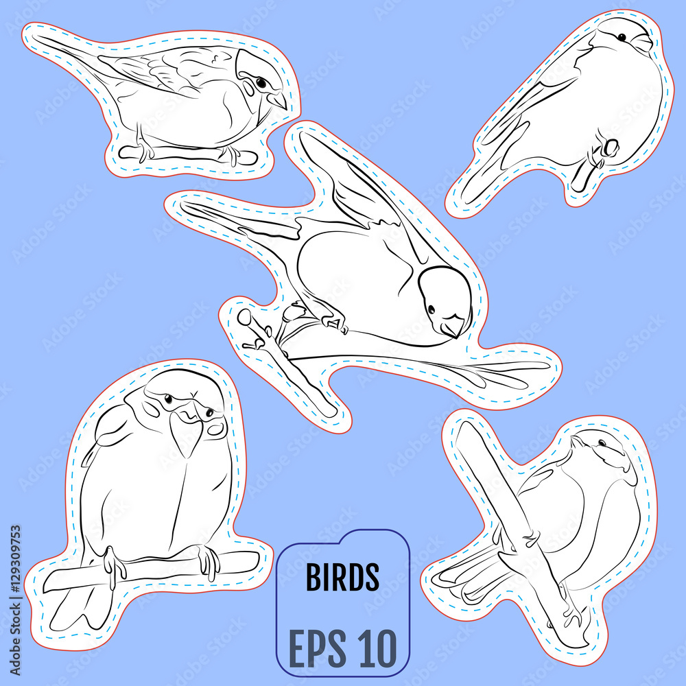 Naklejka premium Fashion patch set, badges with european birds. This illustration