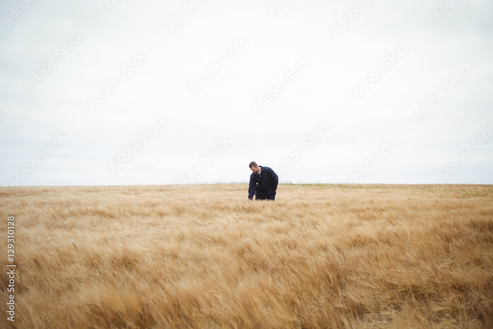 Farmer checking his crops in the field Farmer checking his crops in the field