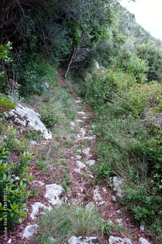Obraz premium Corfu Trail, Greece