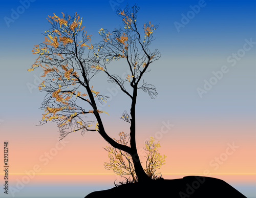 orange fall trees at sunrise sky