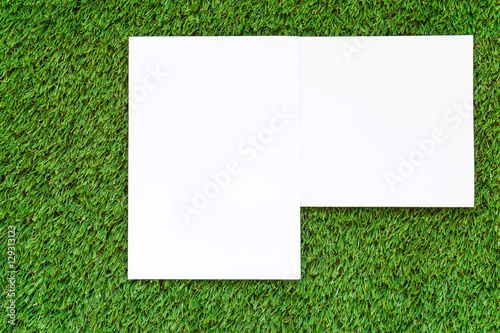 Blank white paper on green grass.