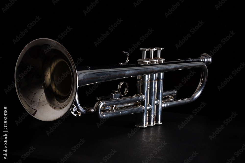 Obraz premium Silver trumpet isolated