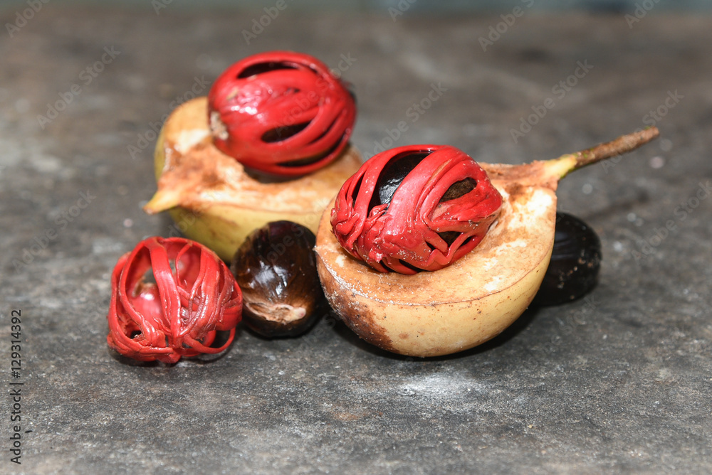Indian spice Nutmeg many isolated. Sectional view of ripe colorful red nutmeg fruit, seeds