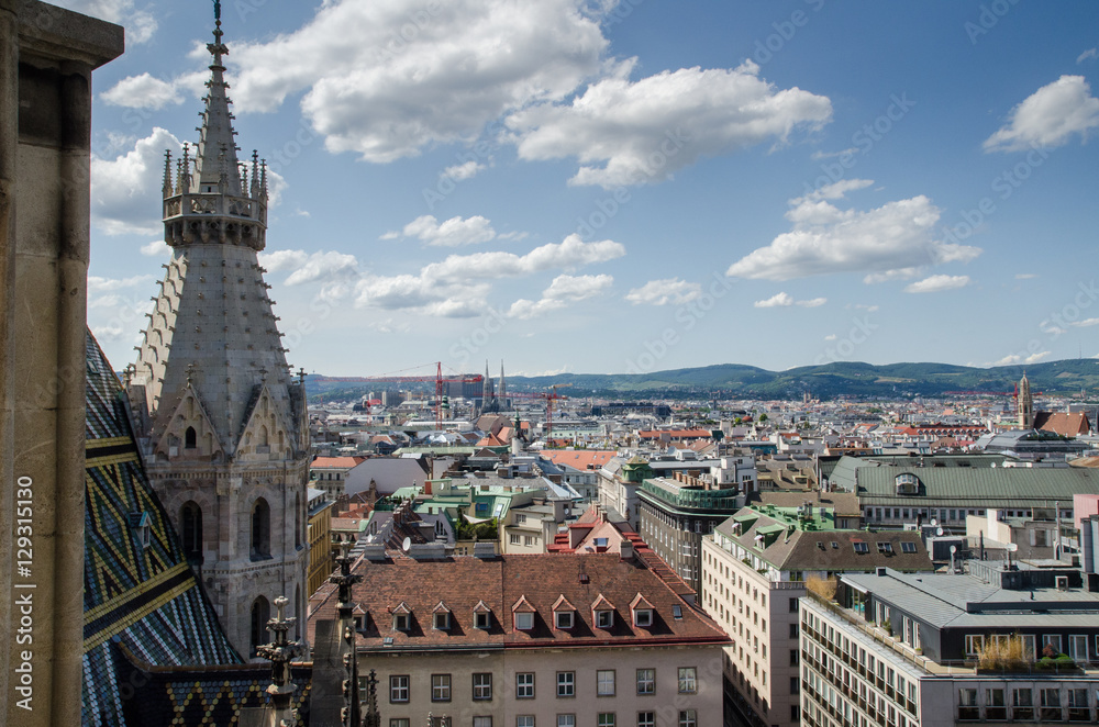 A bird view on Vienna from St.Stephen's Cathedral. Austria