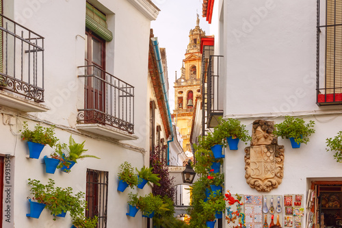 Flowers in flowerpot on the white walls on famous Flower street Calleja de las Flores in old Jewish quarter of Cordoba and Bell Tower Mezquita, Andalusia, Spain photo