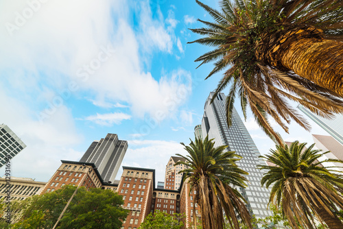 Skyscrapers and palm trees in downtown Los Angeles © Gabriele Maltinti