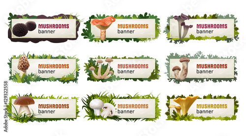Set of delicious mushroom vector banners.