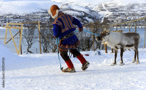 Traditional Sami reindeer-skin tents (lappish yurts) in Tromso .reindeer breeder photo