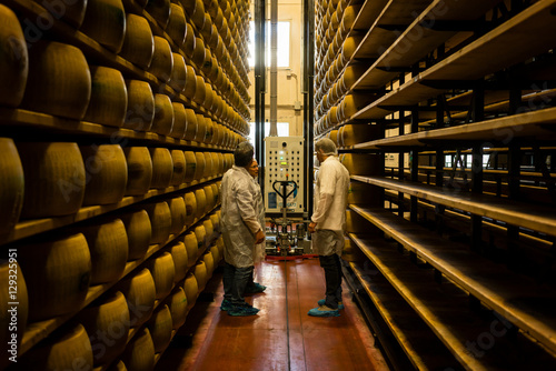 Worker and food inspector in parmesan cheese factory, Italy