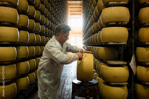 Worker testing quality of cheese loaf with hammer in parmesan food factory photo