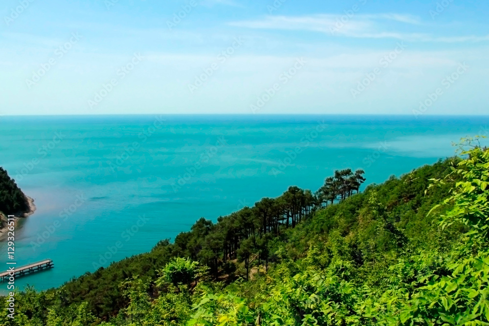  Black sea. and the beach, mountains covered with greenery, trees.