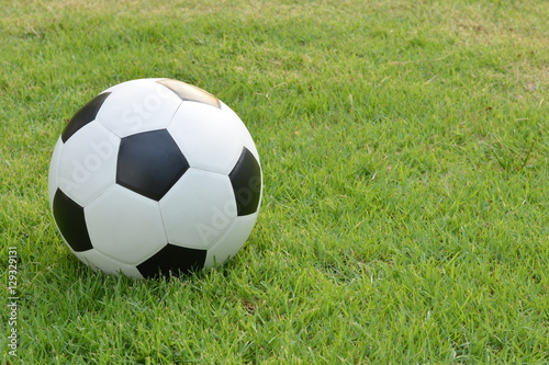 Football or soccer ball on the lawn with copy space for text outdoor activities