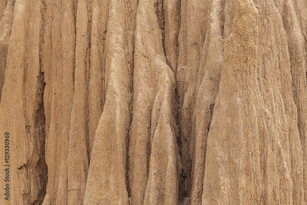 Fototapeta premium Texture of soil wall