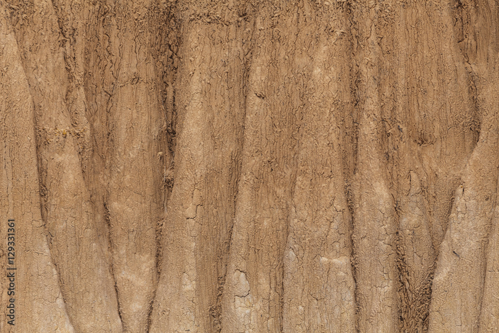 Fototapeta premium Texture of soil wall