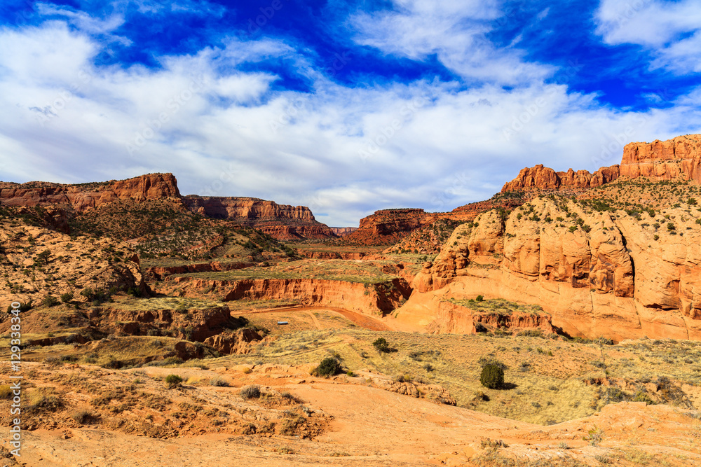 Arizona desert landscape Arizona desert landscape
