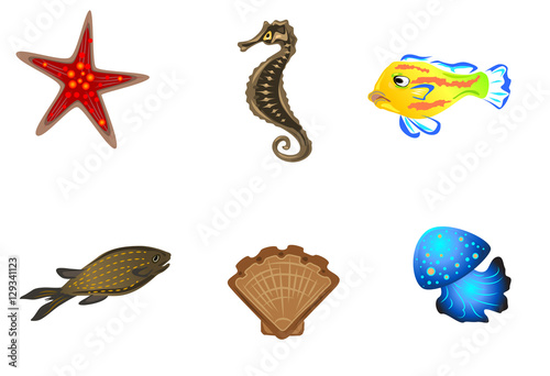 Six marine inhabitants