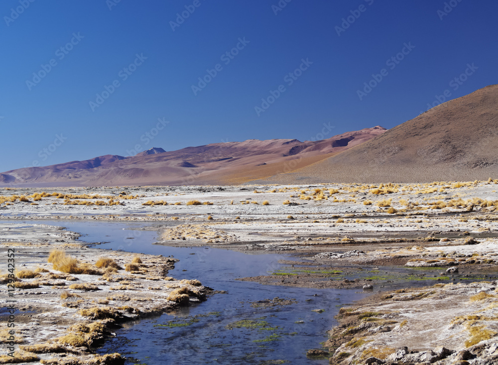 Bolivia, Potosi Departmant, Sur Lipez Province, Eduardo Avaroa Andean Fauna National Reserve, View of the Laguna Salada near hot springs. Bolivia, Potosi Departmant, Sur Lipez Province, Eduardo Avaroa Andean Fauna National Reserve, View of the Laguna Salada near hot springs.