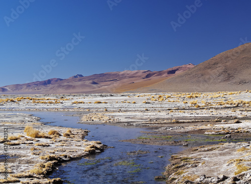 Bolivia, Potosi Departmant, Sur Lipez Province, Eduardo Avaroa Andean Fauna National Reserve, View of the Laguna Salada near hot springs.
