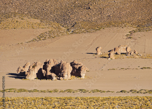 Bolivia, Potosi Departmant, Nor Lipez Province, Landscape of the Valle de las Rocas(Rocks Valley).