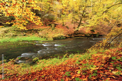 Fototapeta Naklejka Na Ścianę i Meble -  Autumn colors river