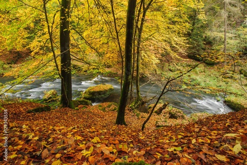 Autumn colors river