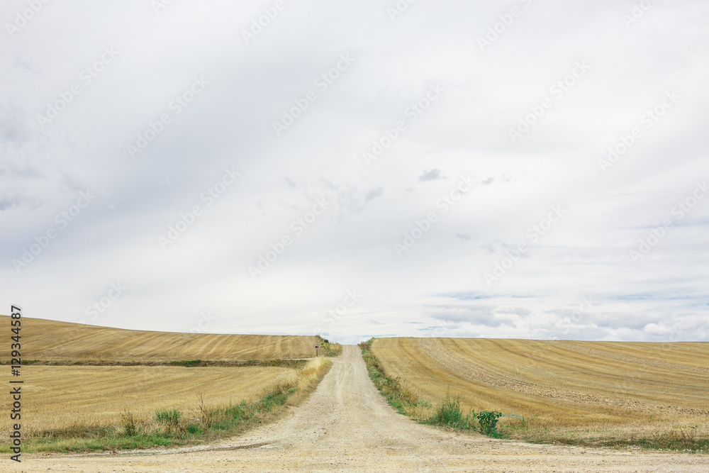 Fototapeta premium Road in Spain