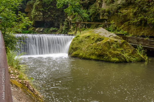 Fototapeta Naklejka Na Ścianę i Meble -  Greenery and waterfalls in a forest