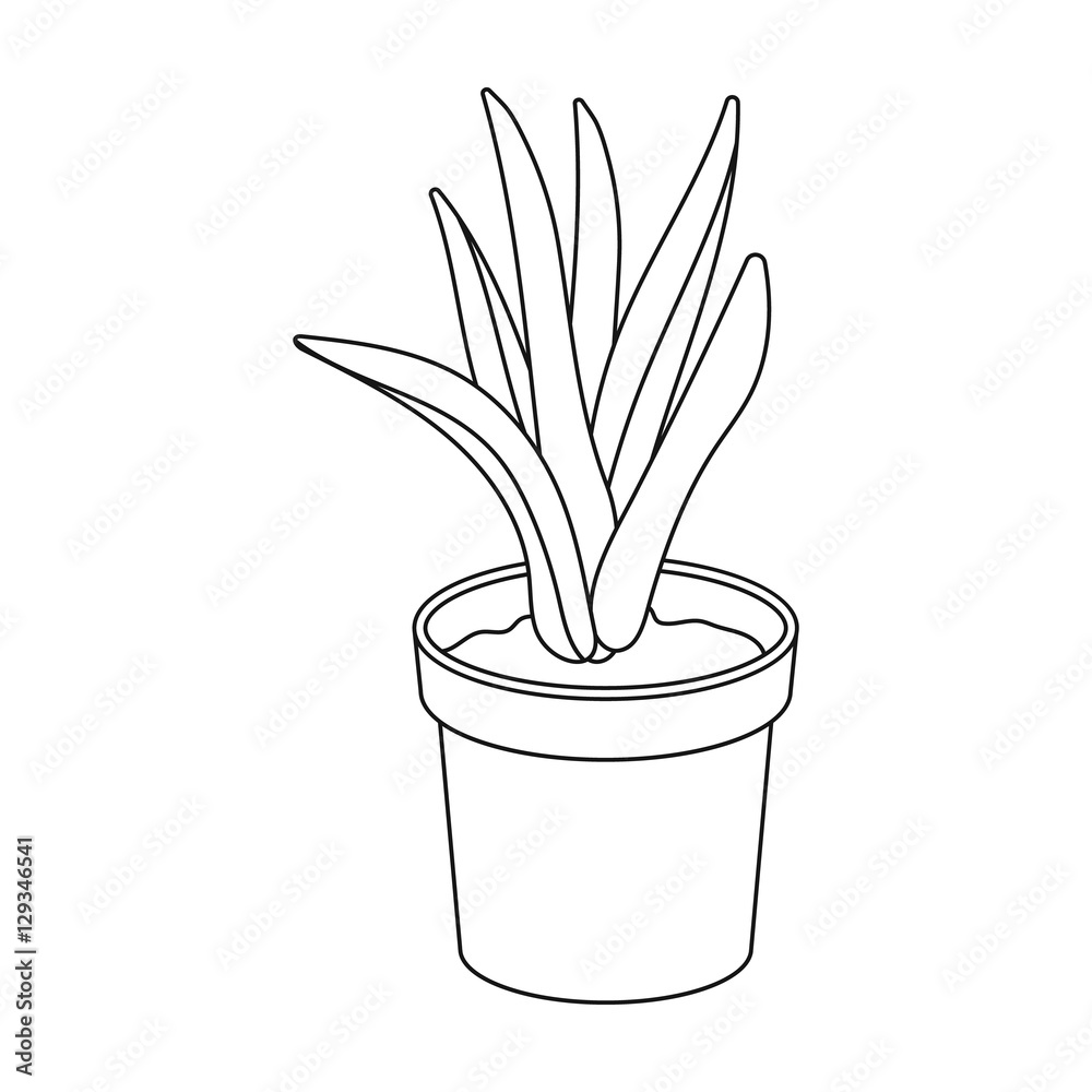 Office plant in th flowerpot icon in outline style isolated on white ...
