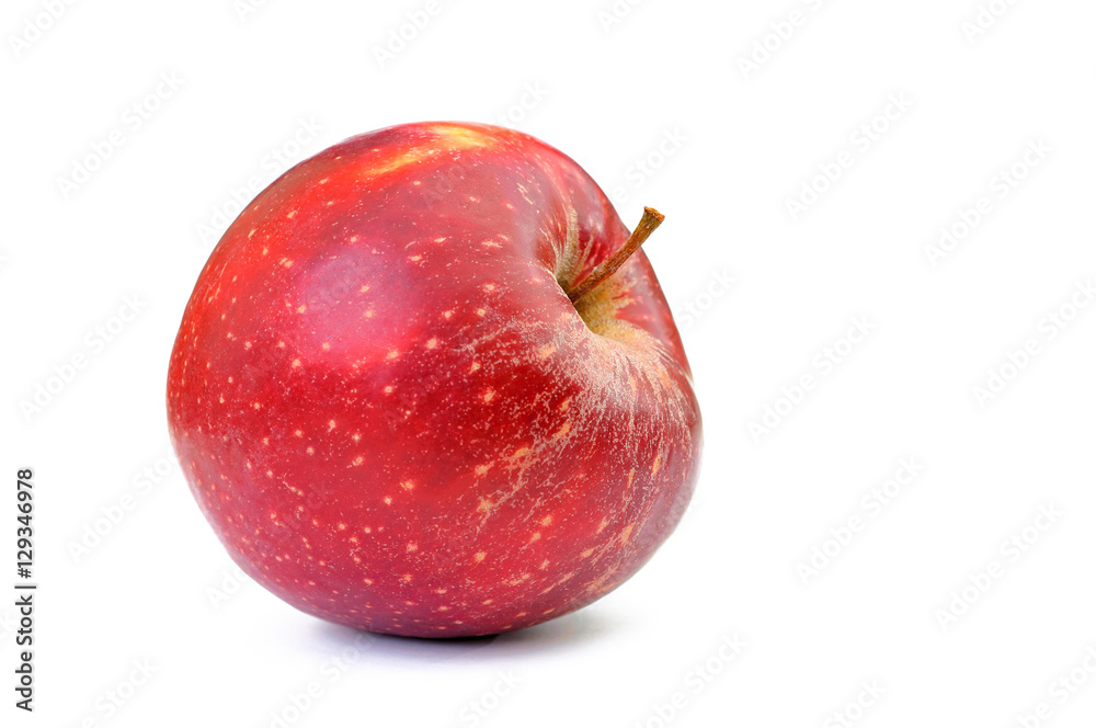 one red apple on white backdrop