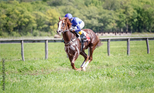 racing horse portrait in action