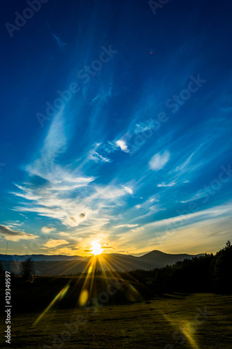 A vibrant shot of landscape