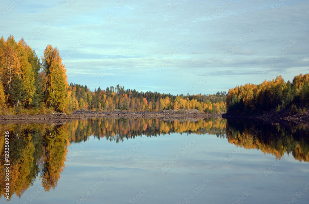 Forest in autumn colors reflecting in water, picture from the North of Sweden.