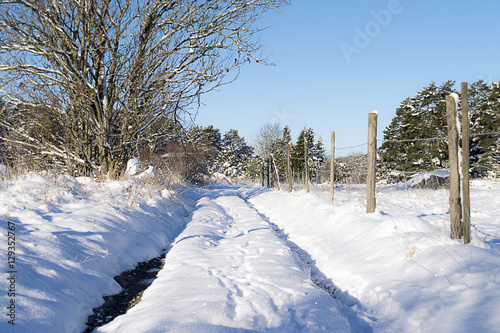En liten skogsväg som går genom vinterlandskapet