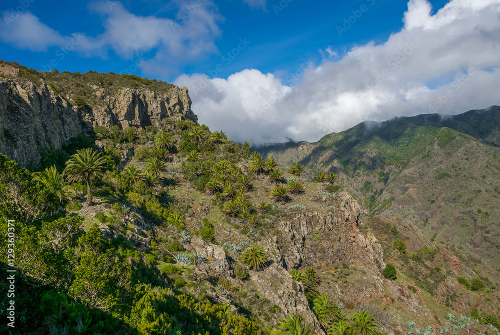  View down the valley towards roque de agando and Vallehermoso, La Gomera, Canary Islands