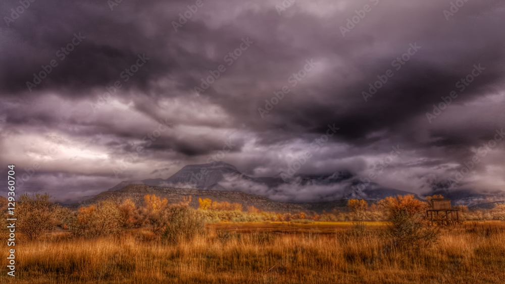 Rainy Colorado Meadow