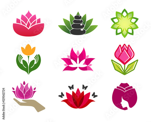 Spa flower and rose Design Illustration