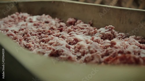 Making of hungarian sausage, spicing raw meat with paprika, pepper photo