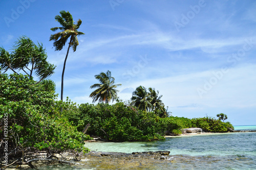 Fototapeta Naklejka Na Ścianę i Meble -  Nilandhoo beach