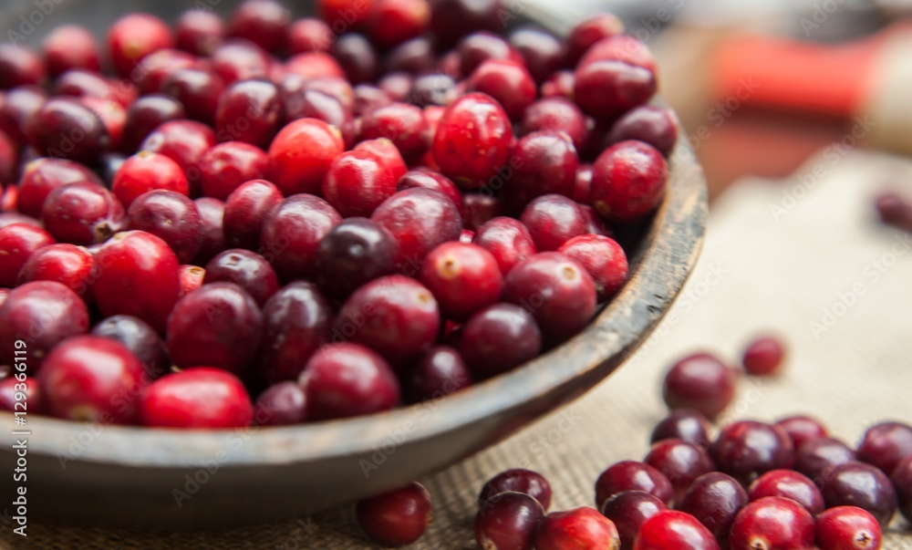 Fresh cranberries in rustic wooden bowl on burlap Background an Fresh cranberries in rustic wooden bowl on burlap Background an