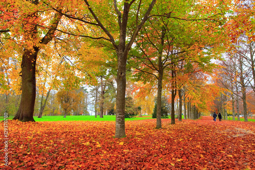 Parc du ch  teau de Versailles en automne 