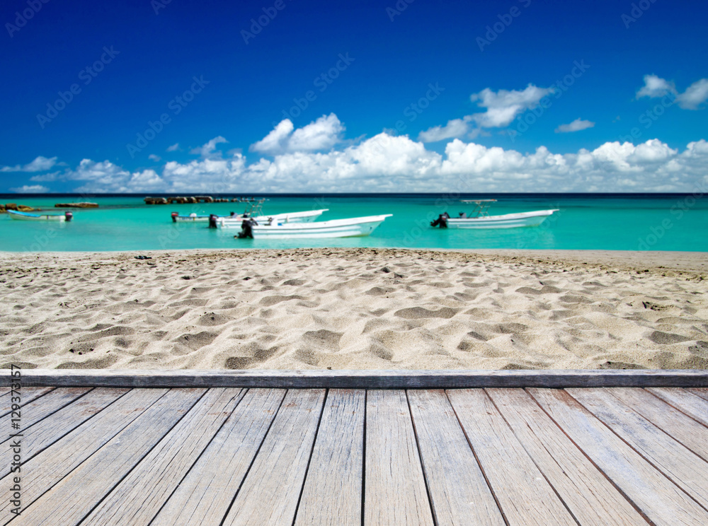 Fototapeta premium tropical sea