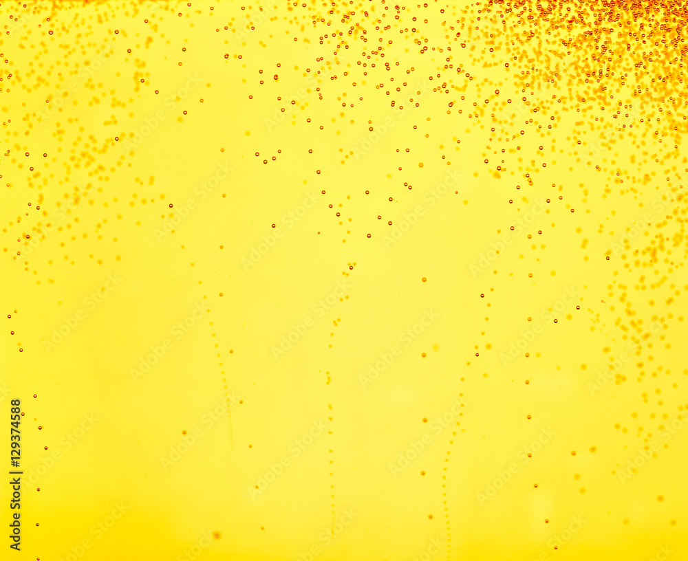 beer closeup alcohol drink beverage beer closeup alcohol drink beverage