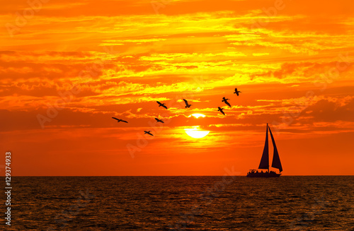 Ocean Sunset Sailboat Birds