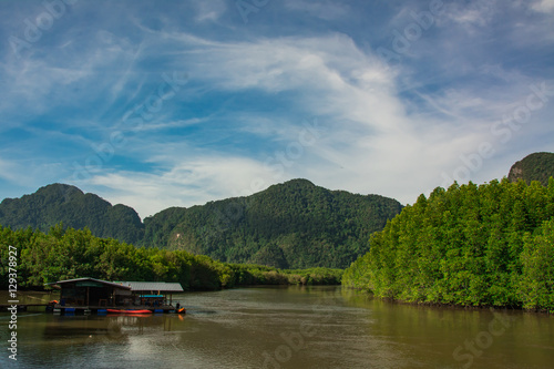 landscape mangrove forest with mountain in Krabi , Thailand