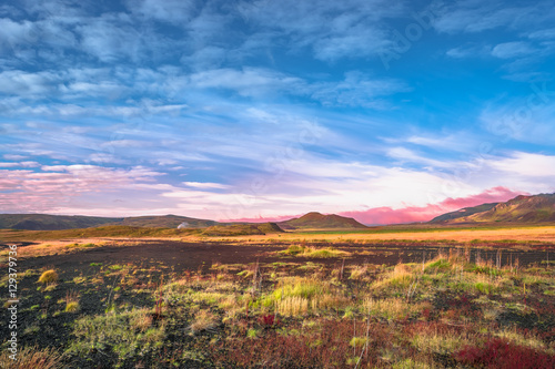 Icelandic colorful and wild landscape at summer